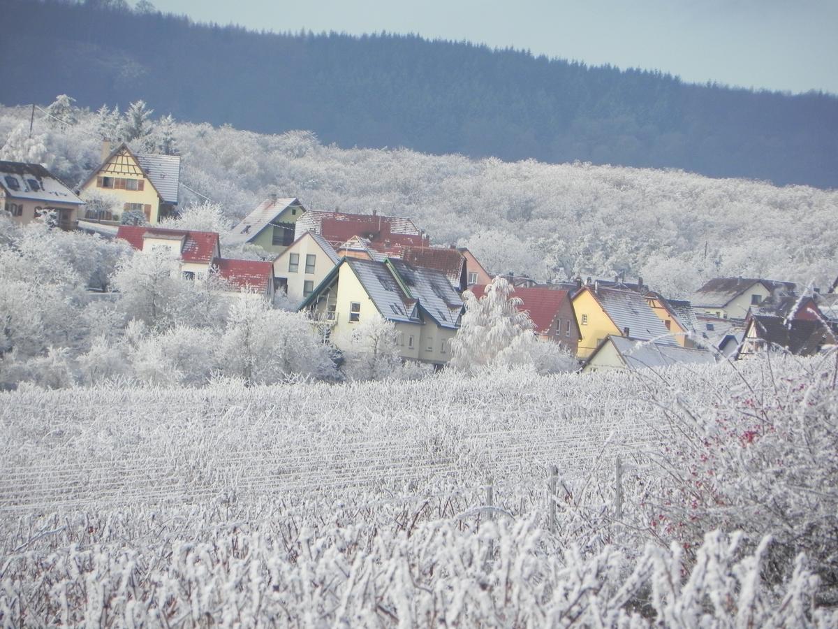 Nid De Cigognes Apartment Rosheim Luaran gambar