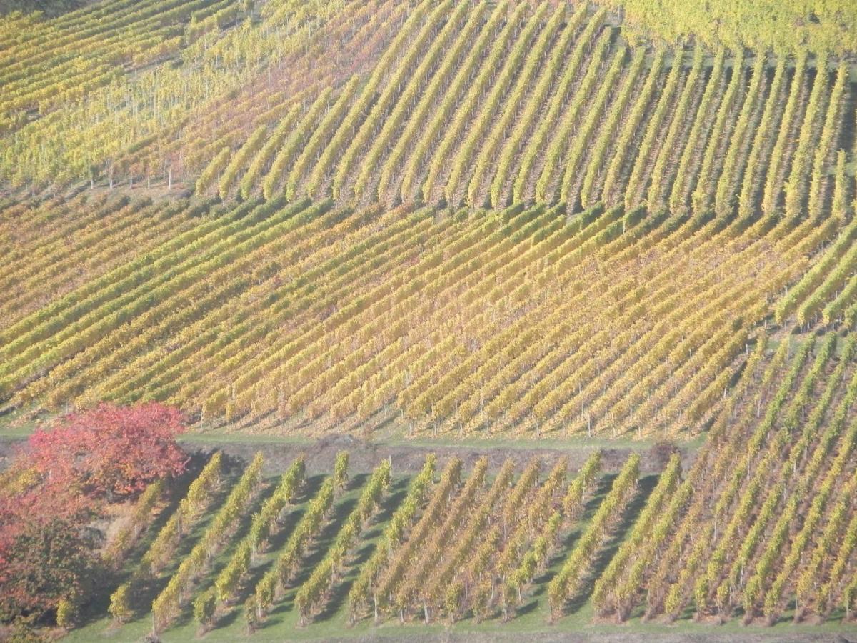 Nid De Cigognes Apartment Rosheim Luaran gambar